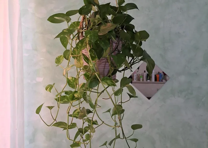 Teatro Ariston Privata Alloggio in famiglia Sanremo