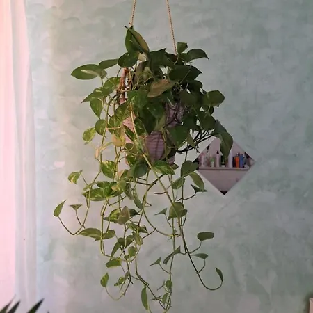 Teatro Ariston Privata