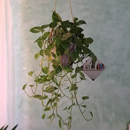 Teatro Ariston Privata منزل للإقامة سانريمو